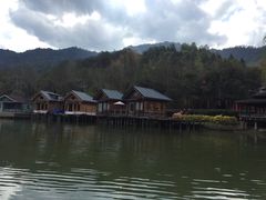 -天台国家森林公园水上茶乡九鹏溪