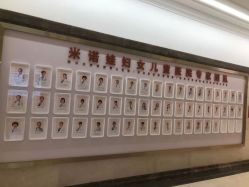 -米诺娃妇女儿童医院·三级妇儿医院