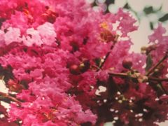 -杭州城北体育公园