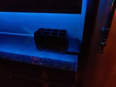 -米乐星世界KTV(汇智国际商业中心店)