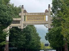 -杭州半山国家森林公园