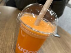 -Wagas沃歌斯(正大乐城店)