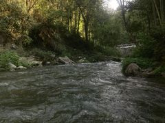 -千岛湖王子谷漂流
