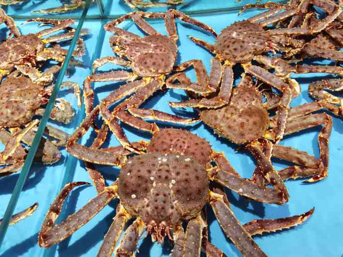 舜和海鲜(舜和国际店)-"老爸生日来了舜和国际一起搓一顿,12个人.