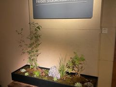 -稍可轩博物馆餐厅