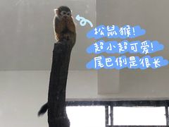 -西安秦岭野生动物园