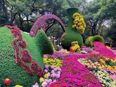 -杭州植物园