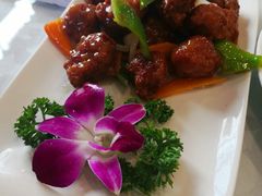 -宝发园名菜馆