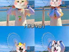 -琴岛之星摩天轮