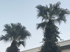 -市政署