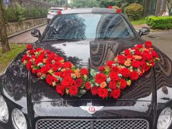 -蚂蚁婚车