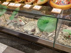 -干锅鱼庄(北京荟聚西红门购物中心店)