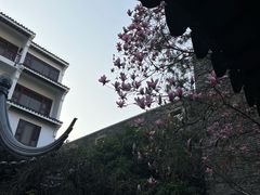 -苏州吴宫泛太平洋酒店