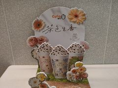 -CoCo都可(友谊阳光店)