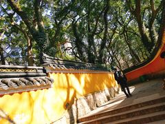-普陀山风景名胜区-法雨禅寺