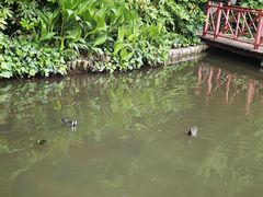-月牙潭公园