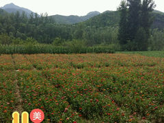android_upload_pic-百里山水画廊乌龙峡谷
