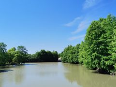 -上海海湾国家森林公园