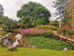 -中国科学院西双版纳热带植物园