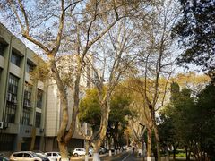 -南京航空航天大学(明故宫校区)
