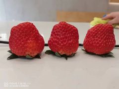 -茶百道(盱眙国贸店)