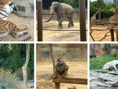 -杭州野生动物世界