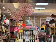 -北京观赏动物医院·24小时大型综合·猫专科·异宠专科