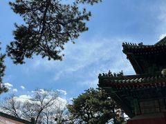-磬锤峰森林公园
