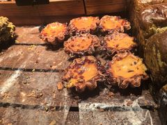 -B&C黄油与面包·THE GARDEN BAKERY概念店(世纪汇店)