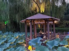 -潇湘甲鱼村(清河店)