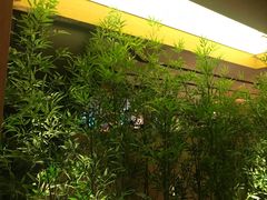 -初蓉丨遇见新川菜(亲贤街荣耀店)