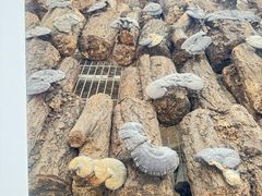 -长春农业博览园