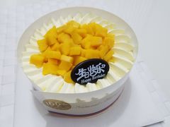 芒露-维尔纳斯·生日蛋糕·动物奶油冰淇淋蛋糕(六里桥店)