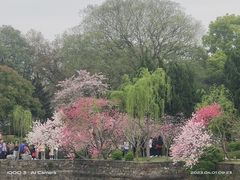 -无锡蠡湖国家湿地公园-蠡园