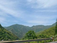 -四明山国家森林公园