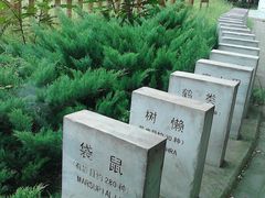 -北京麋鹿生态实验中心