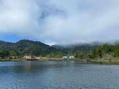 -海南热带雨林国家公园吊罗山景区