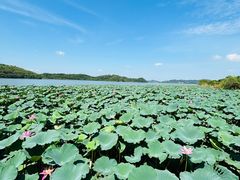 -东钱湖旅游度假区