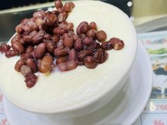 -义顺牛奶公司(新马路老店)