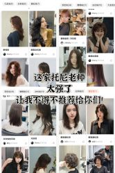 -蚂蚁造型俱乐部