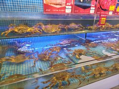 -驻海渔市(置信店)