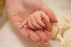 -禧月荟S月子中心(侨城店)