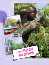 -可可天空农场(中大店)