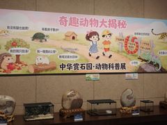 -中华赏石园