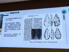 -四川大学博物馆