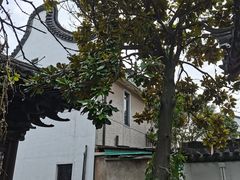 -三林塘老街