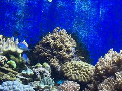 -珠海长隆海洋王国