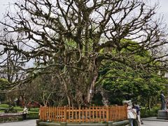 -ZARA(成都远洋太古里店)