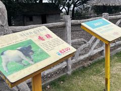 -昆山城市生态森林公园