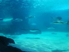 -常州海昌海洋探索馆